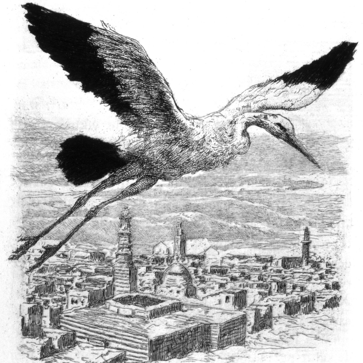 Kuzey Afrika köyünün üzerinde uçan bir leylek by Alexandre Lunois