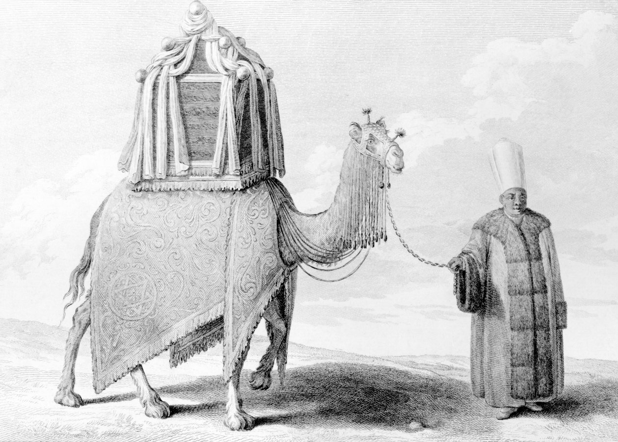 Kutsal Deve by Alexis Alexandre Perignon