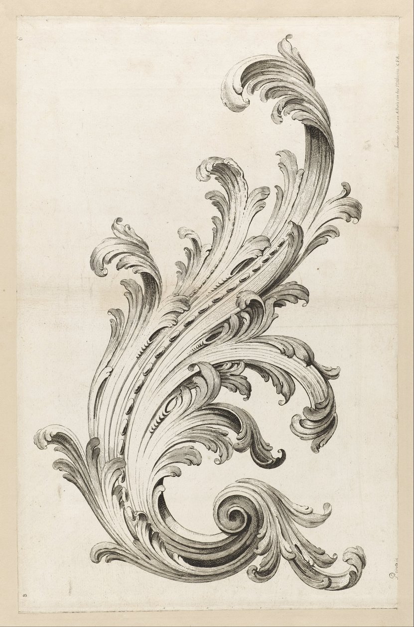 Acanthus Yaprağı Tasarımı by Alexis Peyrotte