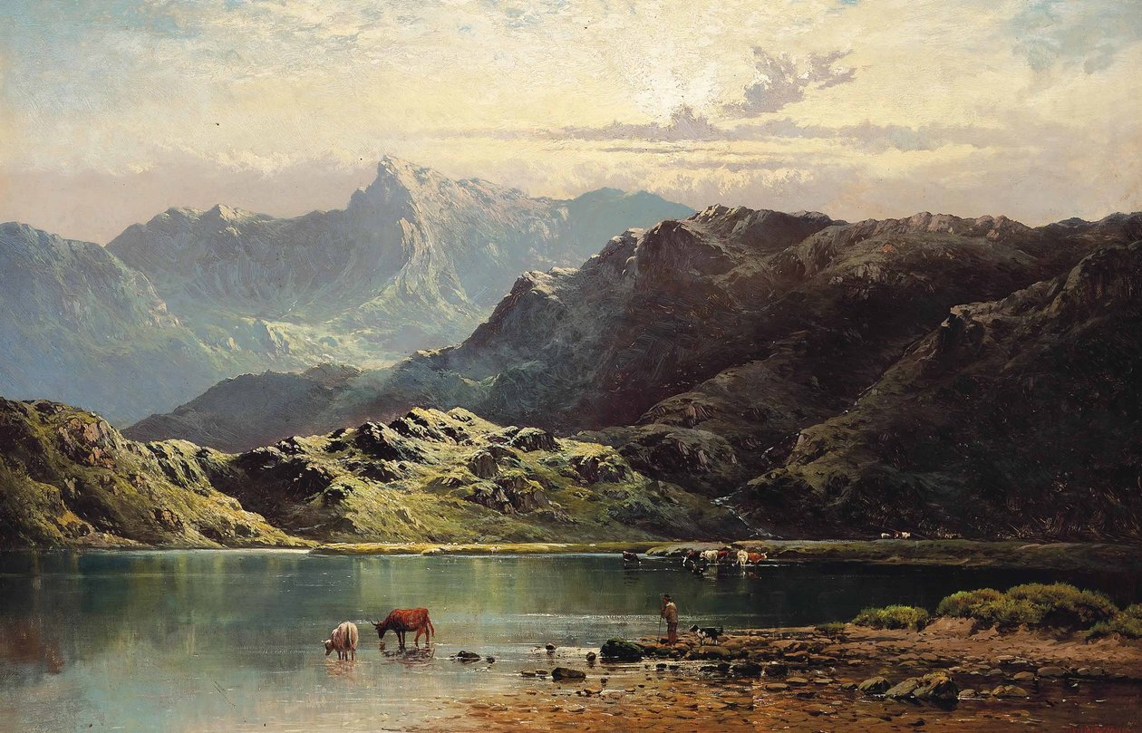 Geç öğleden sonra bir göl kenarında sulanan sığır by Alfred de Breanski