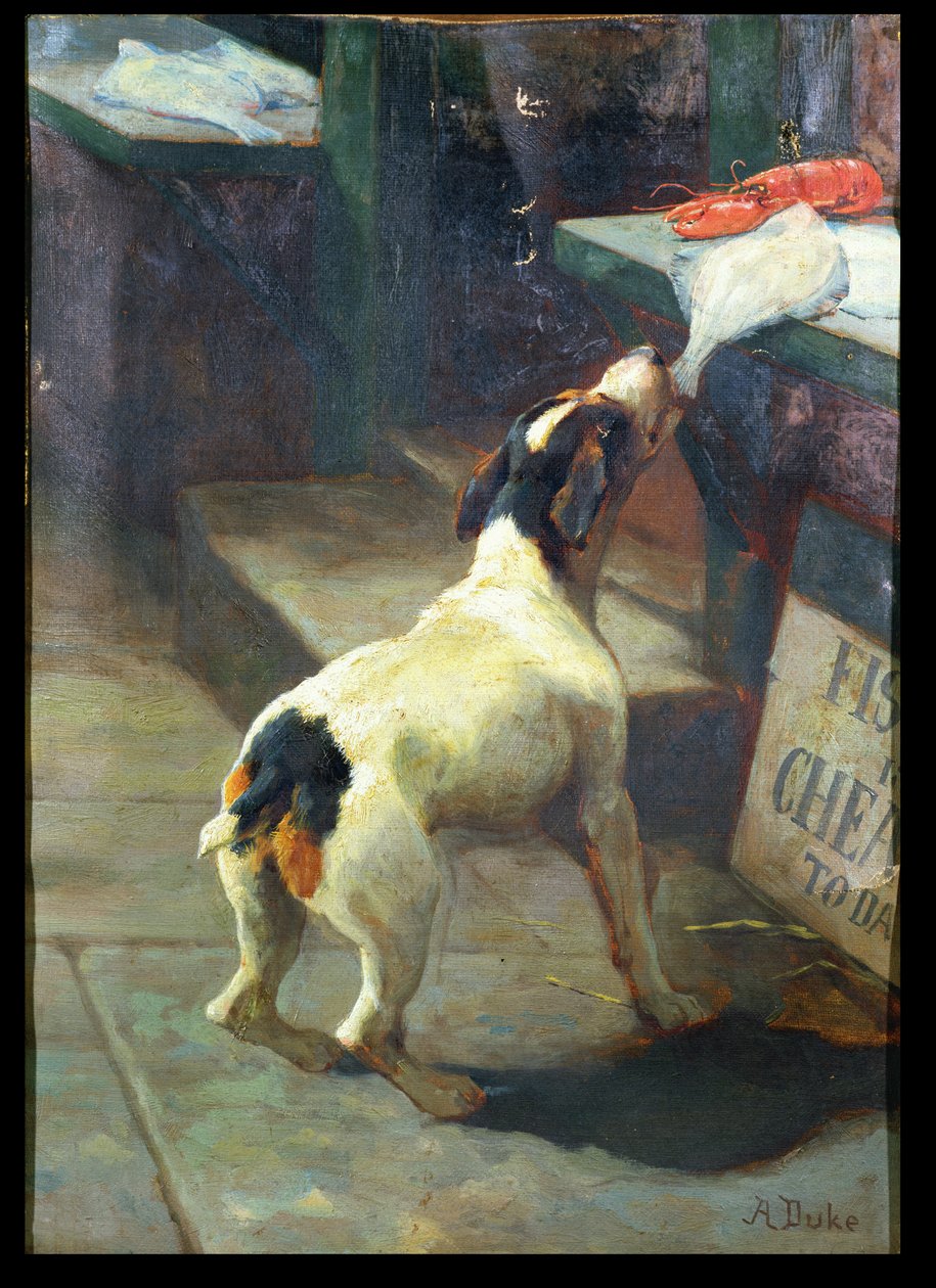 Balık Bugün Ucuz by Alfred Duke