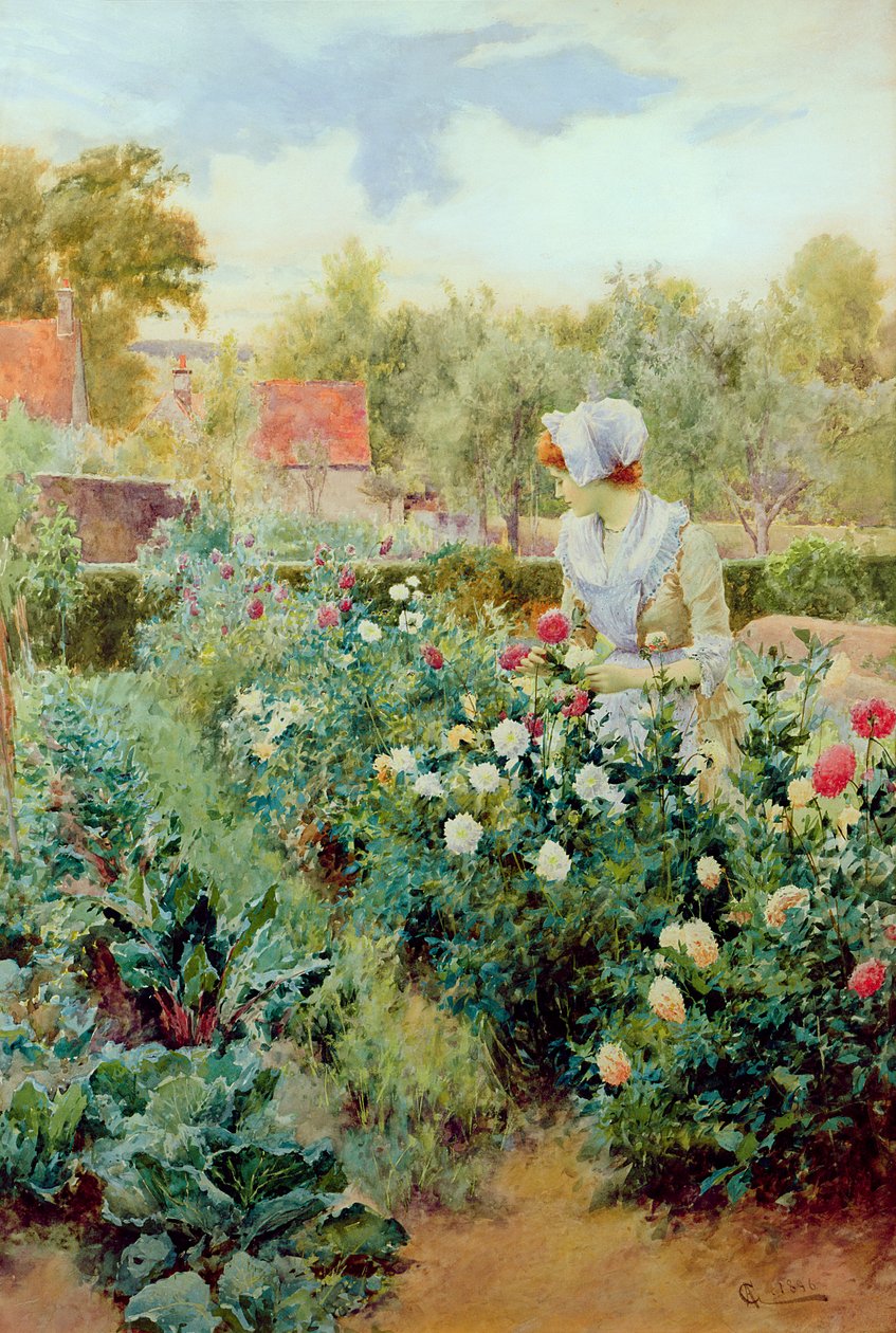 Yıldızçiçekleri, 1896 by Alfred, Jr. Glendening
