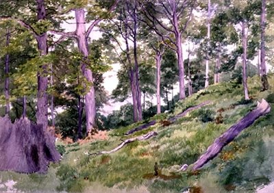 Ludlow yakınlarındaki Ormanda Açıklık, 19. yüzyıl by Alfred Nichols