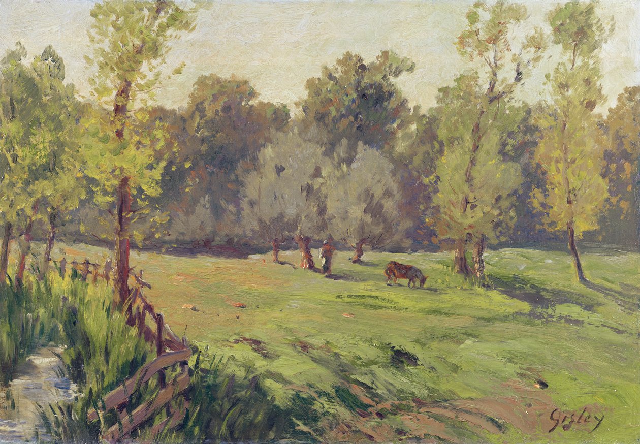 Deresi ve Çevresi Olan Bir Mera, c.1868 by Alfred Sisley