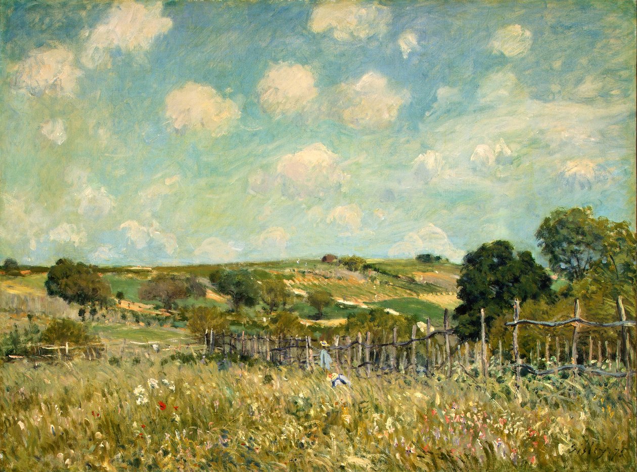 Çayır by Alfred Sisley