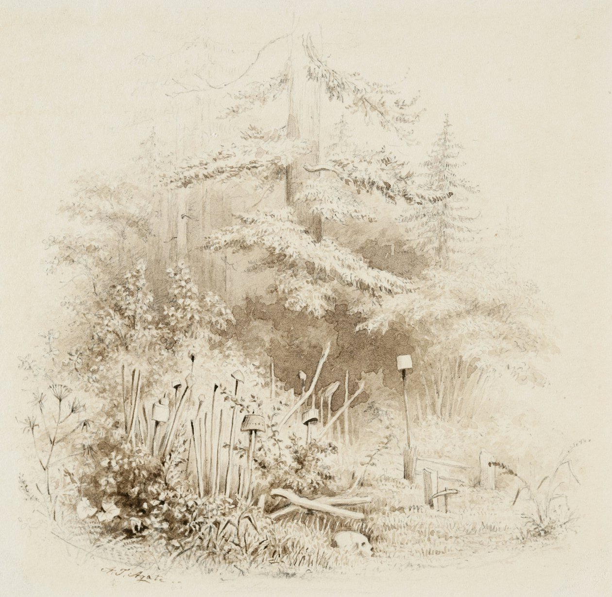 Indian Burial Place, Oregon, 1841 (kremalı dokuma kağıt üzerinde grafitli fırça ve kahverengi yıkama) by Alfred Thomas Agate
