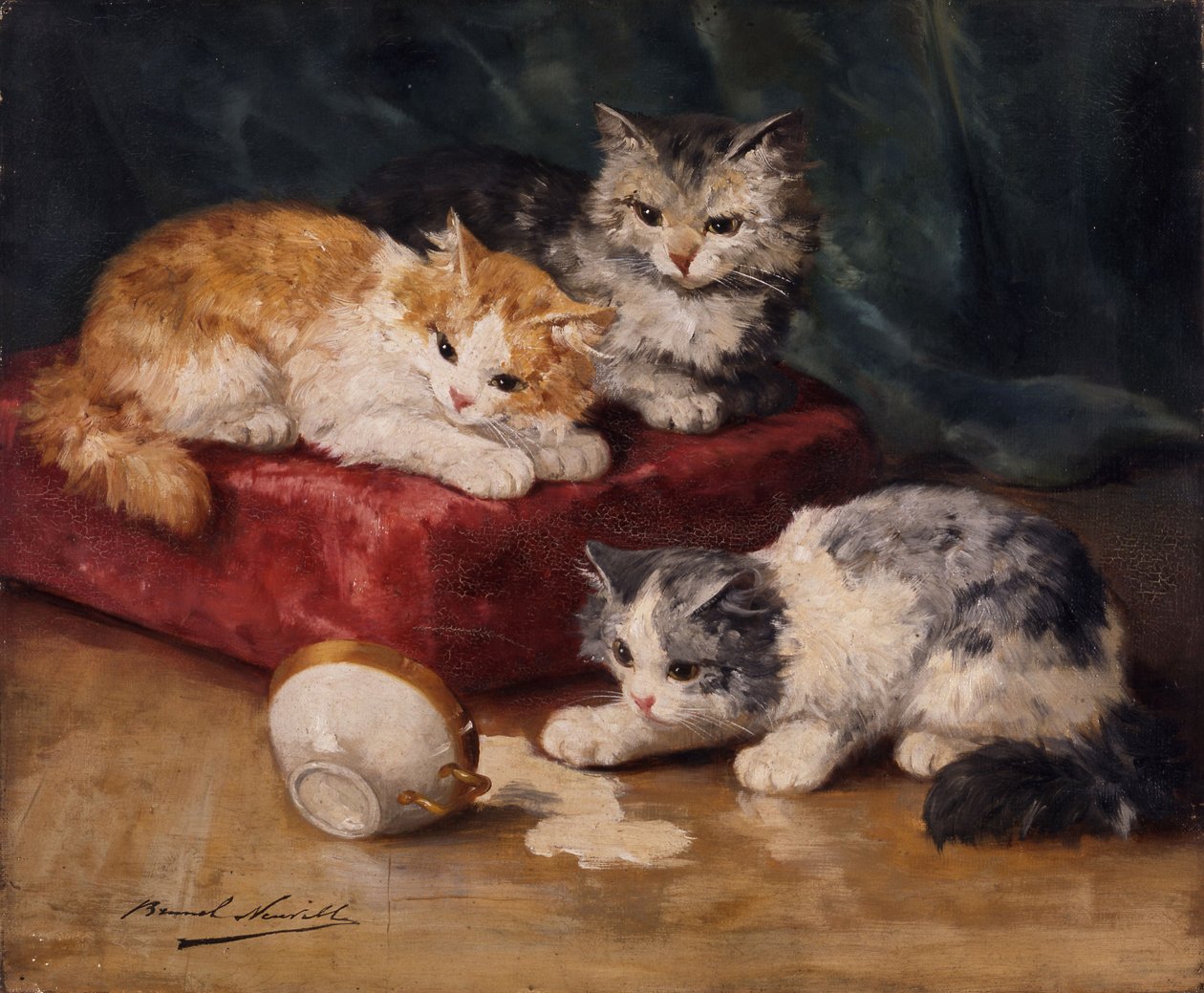 Kediler by Alfred Brunel de Neuville