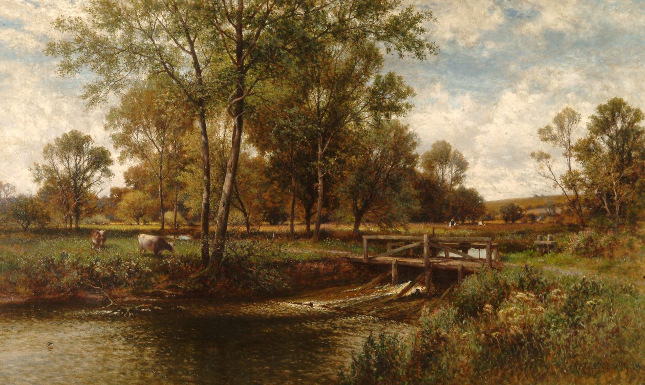 Meadows