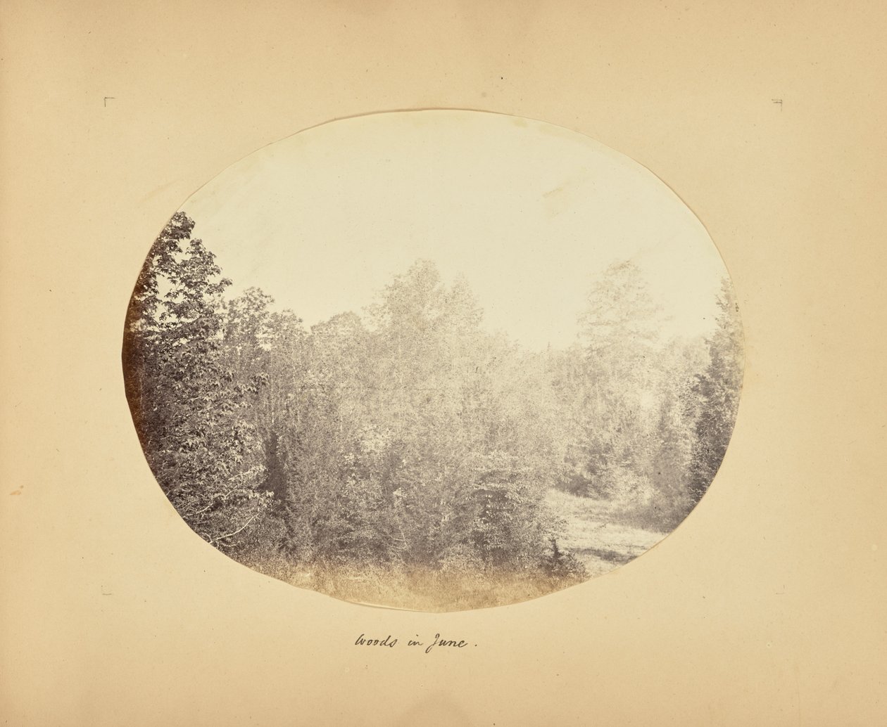  by Alfred Booth