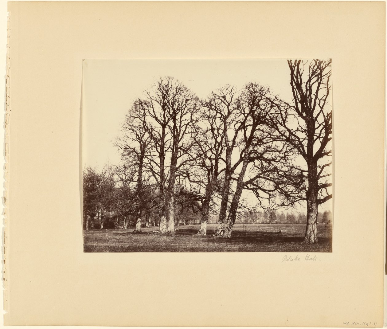  by Alfred Capel Cure
