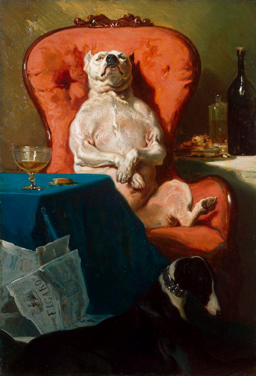 Koltuktaki Pug Köpek