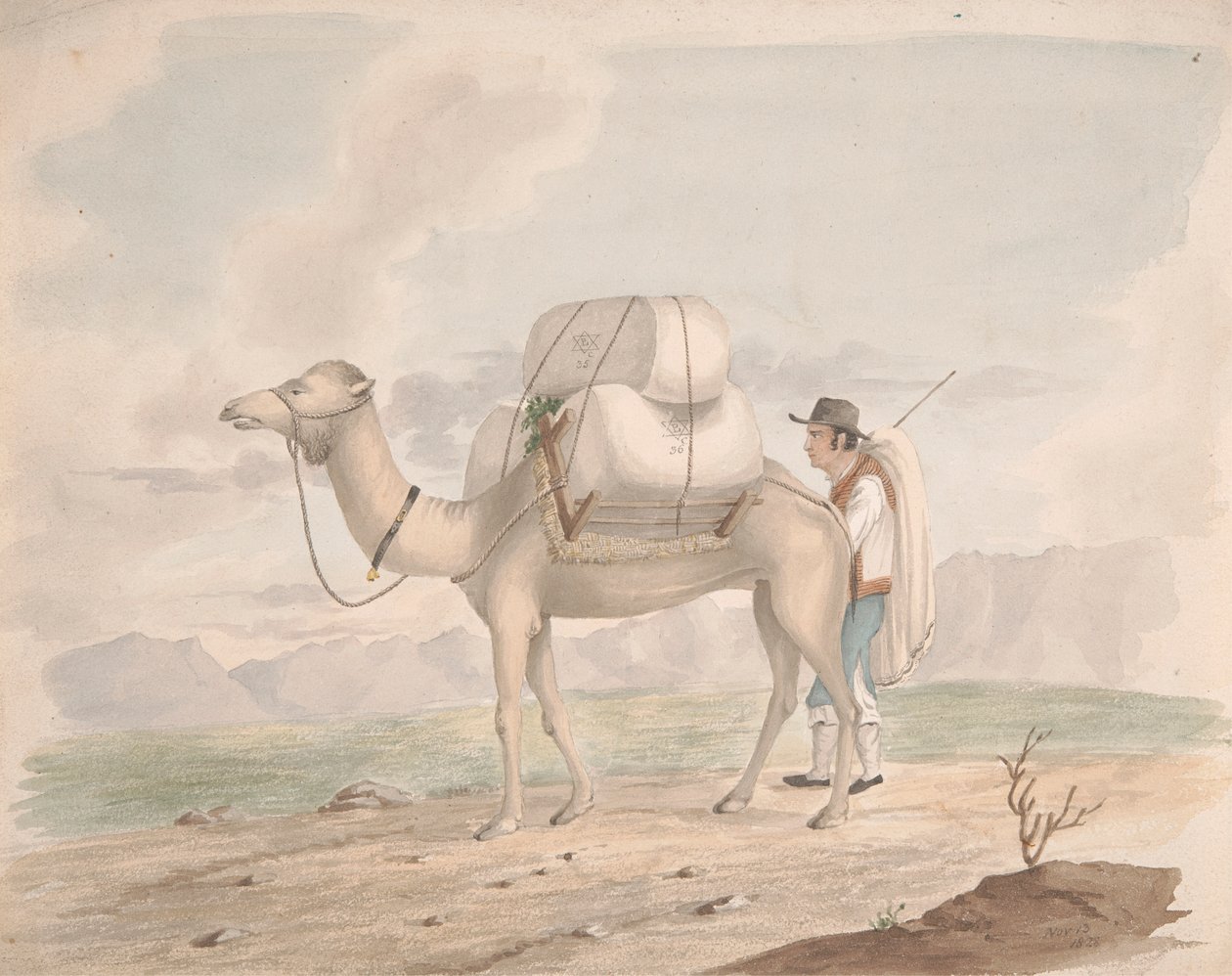 Dolu Deve by Alfred Diston