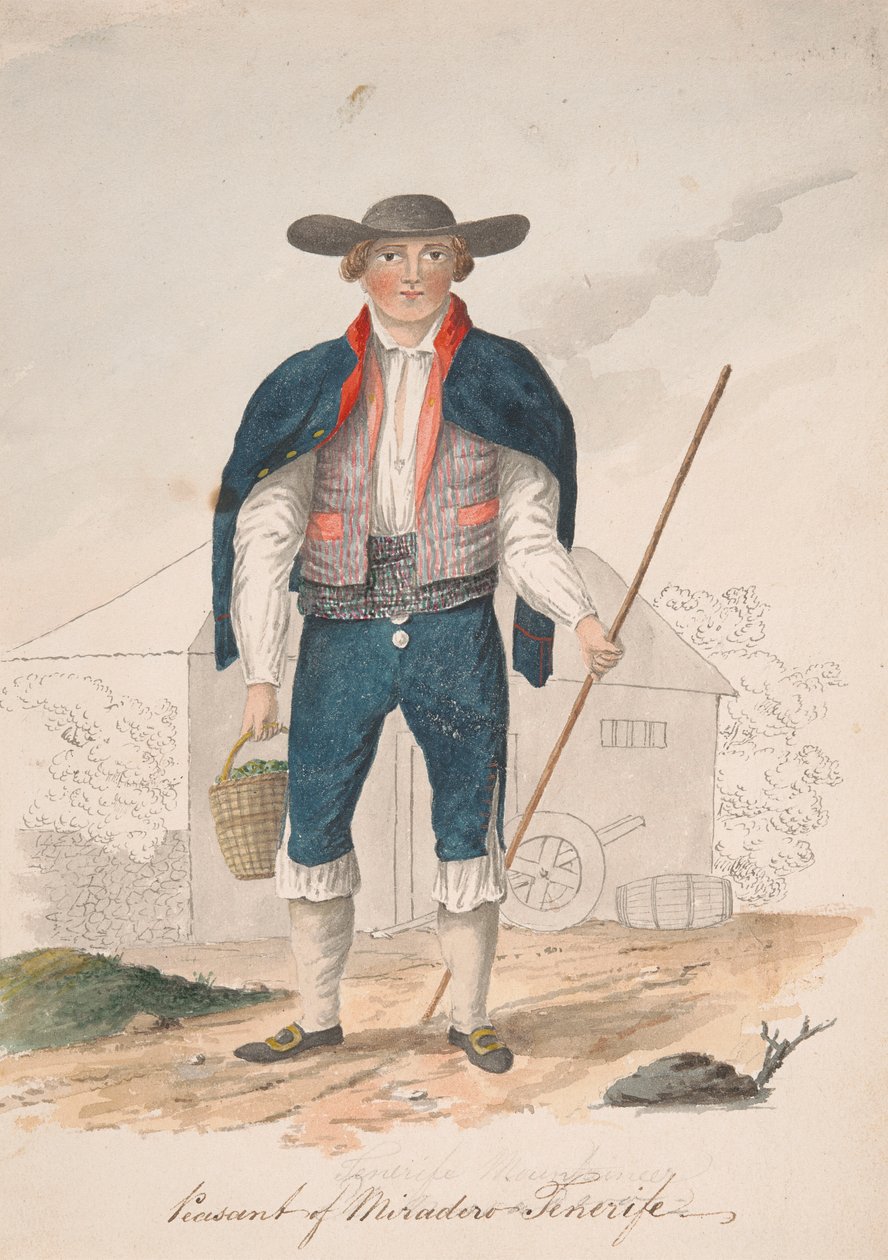 Miradero Köylüsü, Tenerife by Alfred Diston