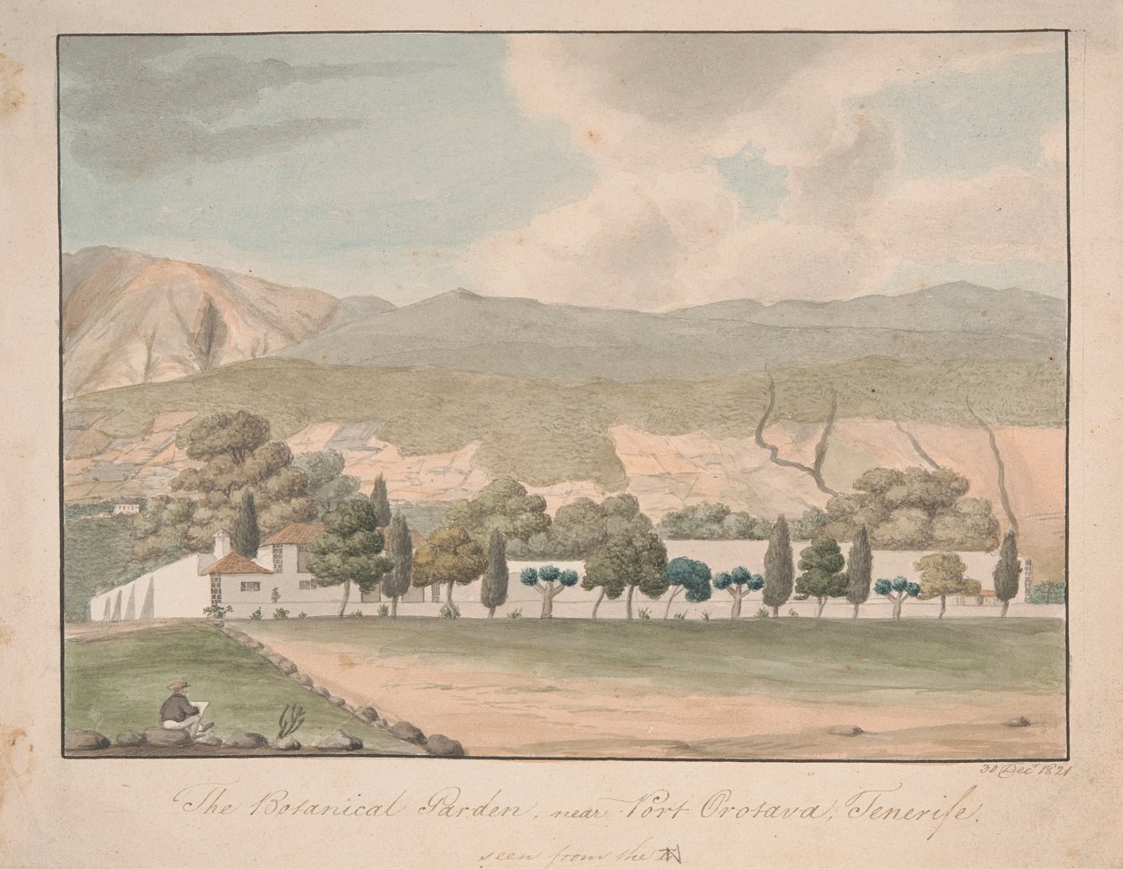 Tenerife Limanı Orotava yakınlarındaki Botanik Bahçesi by Alfred Diston