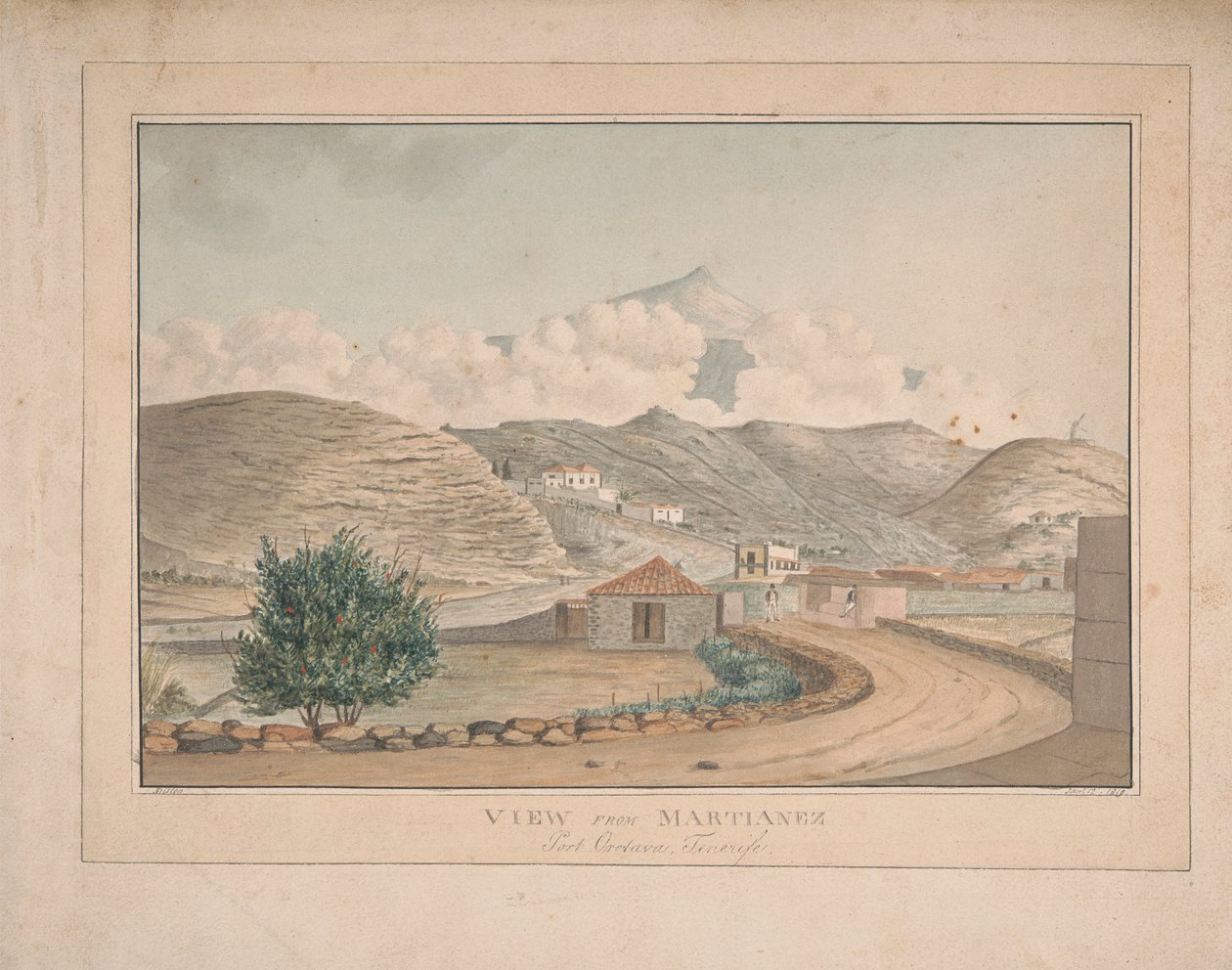 Martianez'den Görünüm, Port Orotava, Tenerife by Alfred Diston
