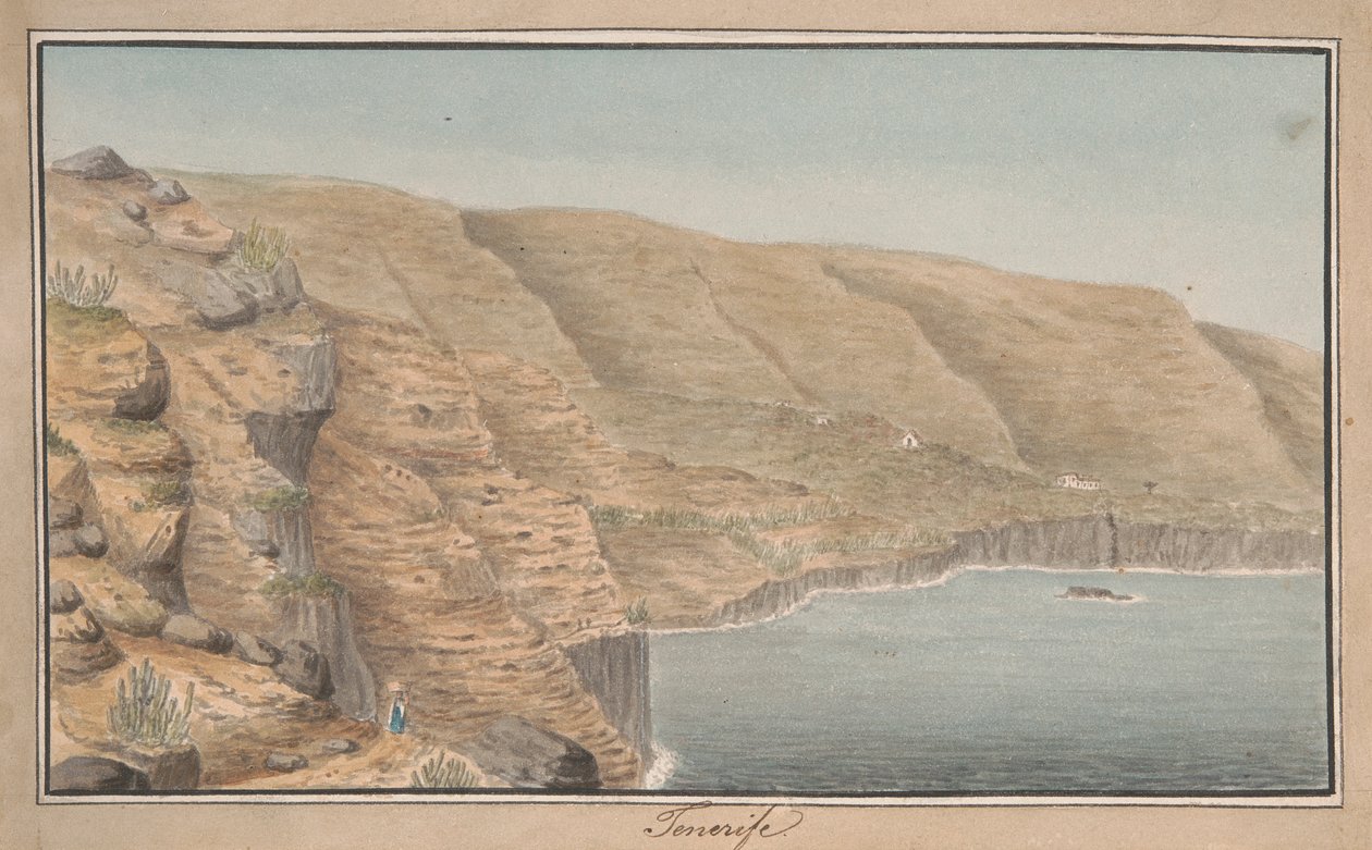 Tenerife Limanı Orotava yakınlarındaki La Rambla de Castro'nun görünümü by Alfred Diston