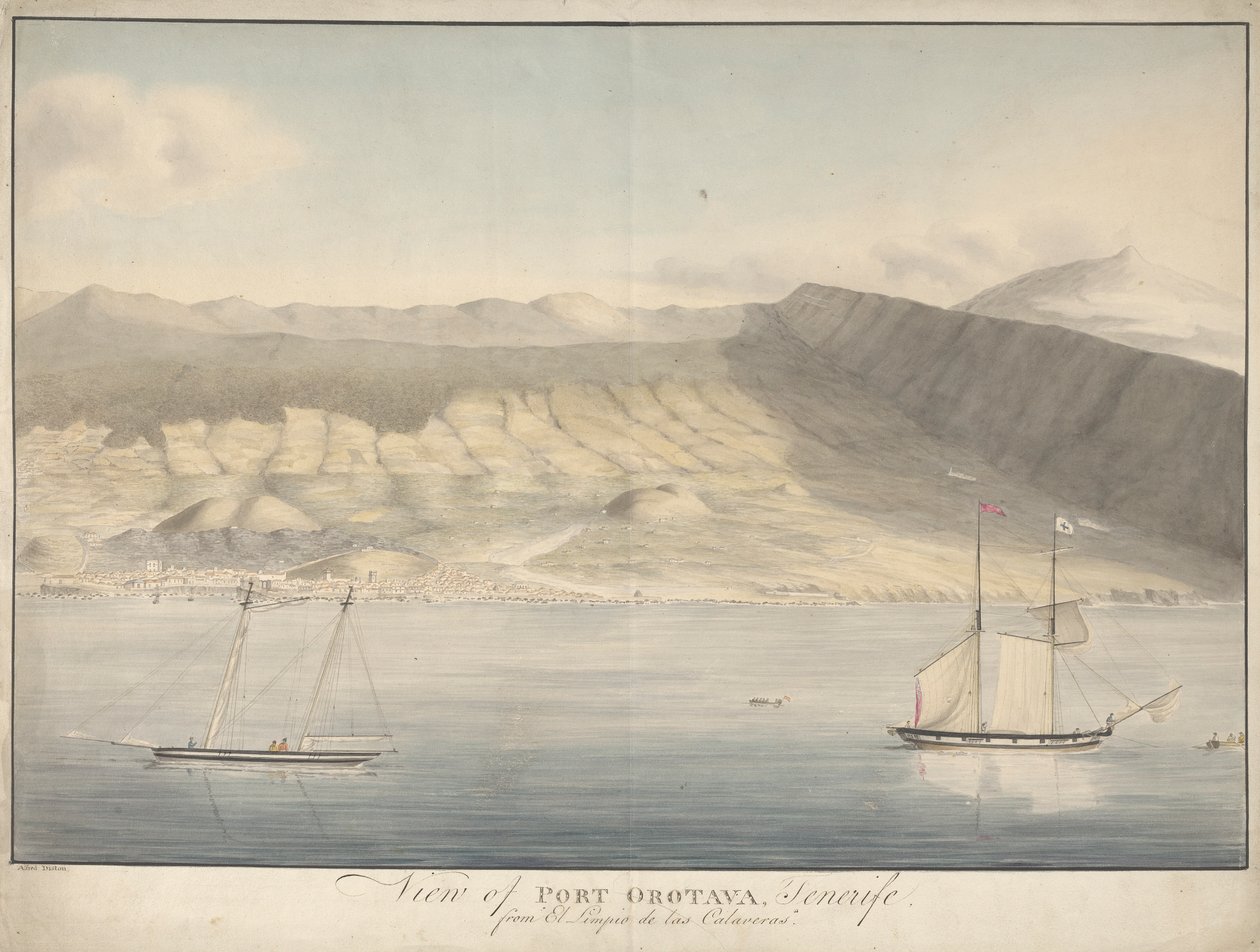 El Limpio de Las Calaveras'tan Port Orotava, Tenerife'nin görünümü by Alfred Diston