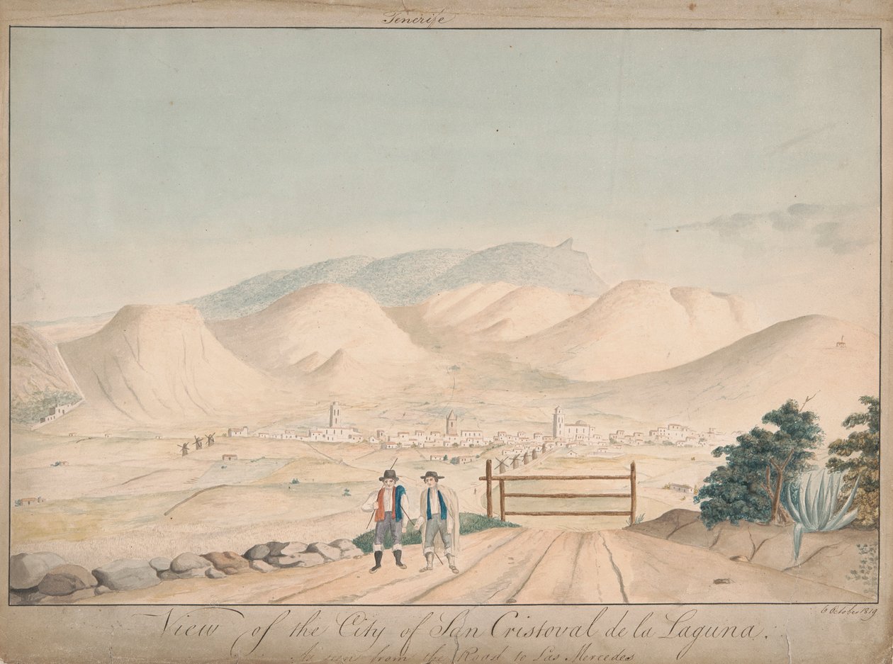 Las Mercedes Yolundan Görüldüğü Gibi San Cristoval de la Laguna Şehri Görünümü by Alfred Diston