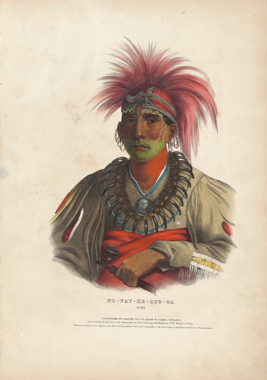 Toplam yok y-durumu g-, Otoe by Alfred Hoffy, after Charles Bird King
