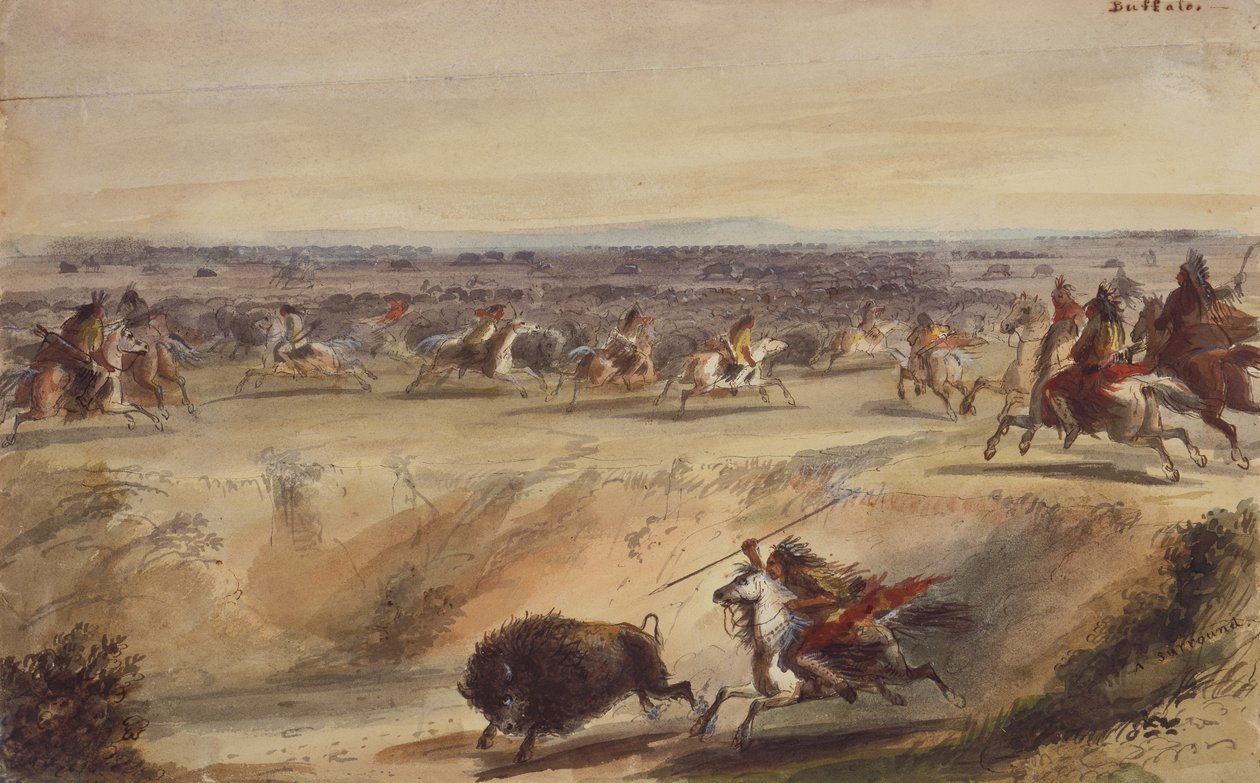A Surround veya Buffalo Avı, c.1839 (kalem, tükenmez kalem ve mürekkep, kağıt üzerine suluboya ve guaj boya) by Alfred Jacob Miller