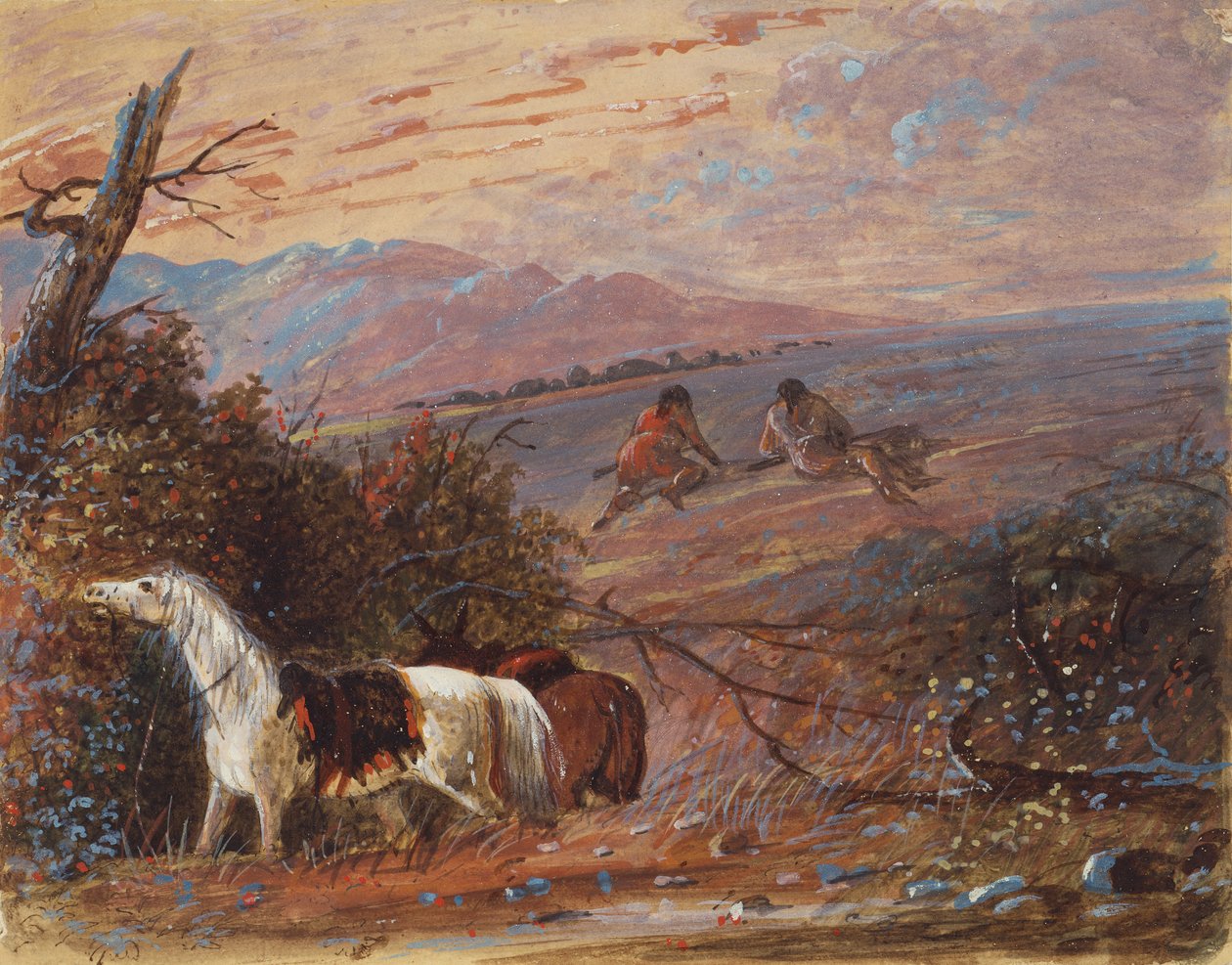 Yaklaşan Buffalo, c.1858 (kağıt üzerine suluboya ve guaj boya) by Alfred Jacob Miller