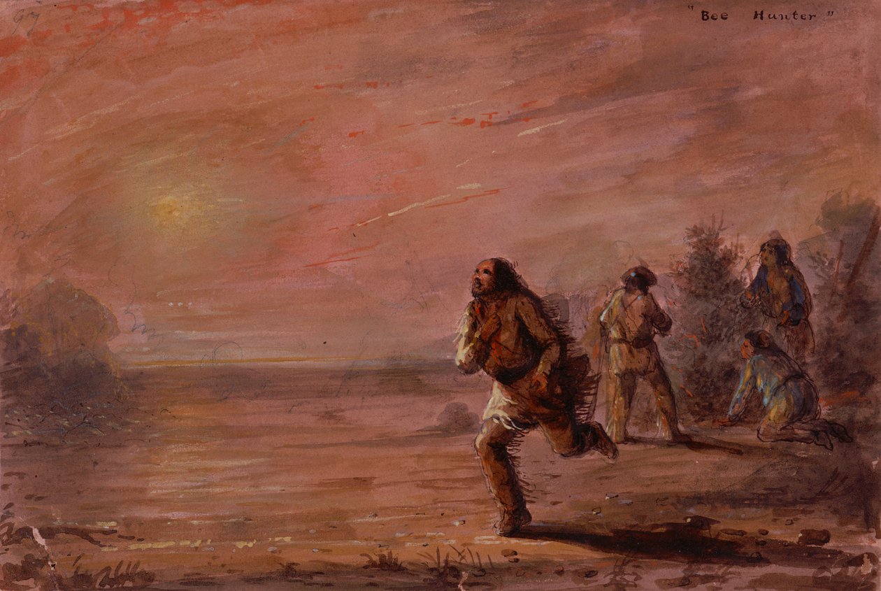 Arı Avcıları, c.1837 (kağıt üzeri yağlı boya) by Alfred Jacob Miller