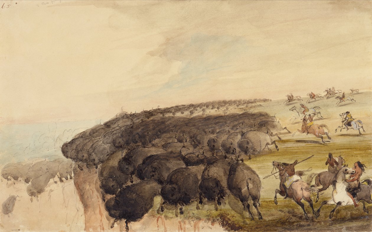 Bufalo Sürülerini Bir Uçurumun Üzerinden Sürmek, 1837 dolayları (kalem, tükenmez kalem ve mürekkep ve kağıt üzerine sulu boya) by Alfred Jacob Miller