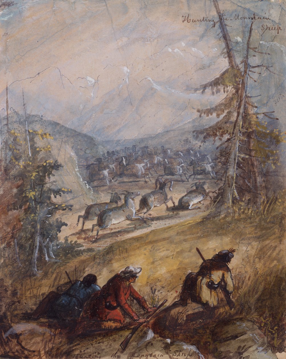 Dağ Koyununu Avlamak, c.1837 (kalem, tükenmez kalem ve mürekkep, kağıt üzerine suluboya ve guaj boya) by Alfred Jacob Miller
