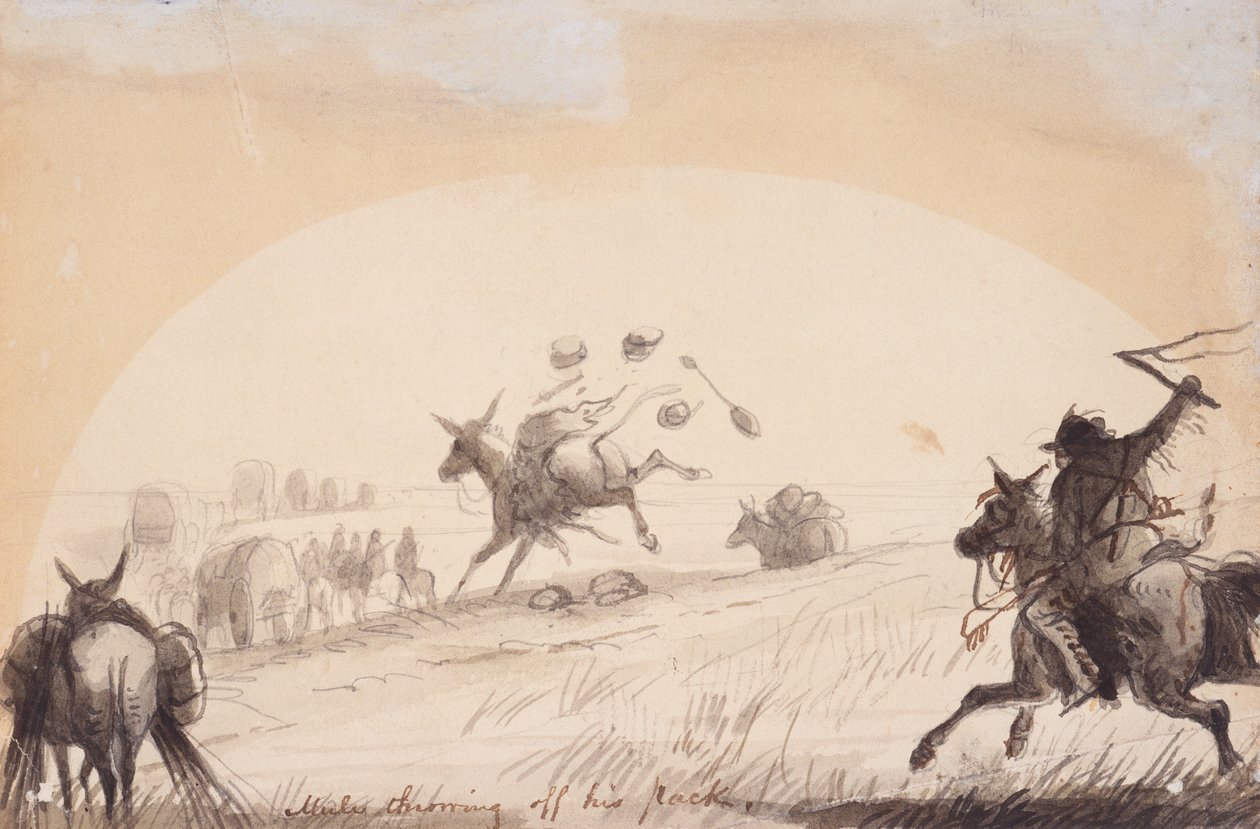 Çantasını Fırlayan Katır, 1837 dolayları (kalem, tükenmez kalem ve mürekkep ve kağıt üzerine yıkama) by Alfred Jacob Miller