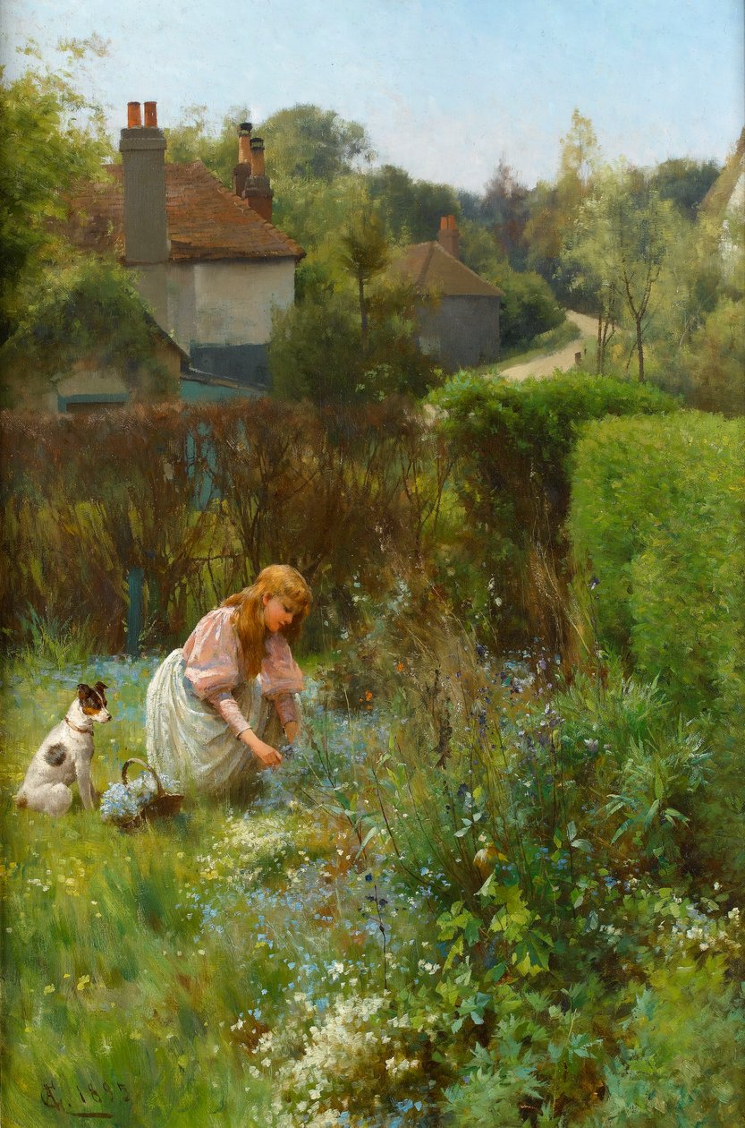 Çitte Kır Çiçekleri Toplama, 1895 by Alfred, Jr. Glendening