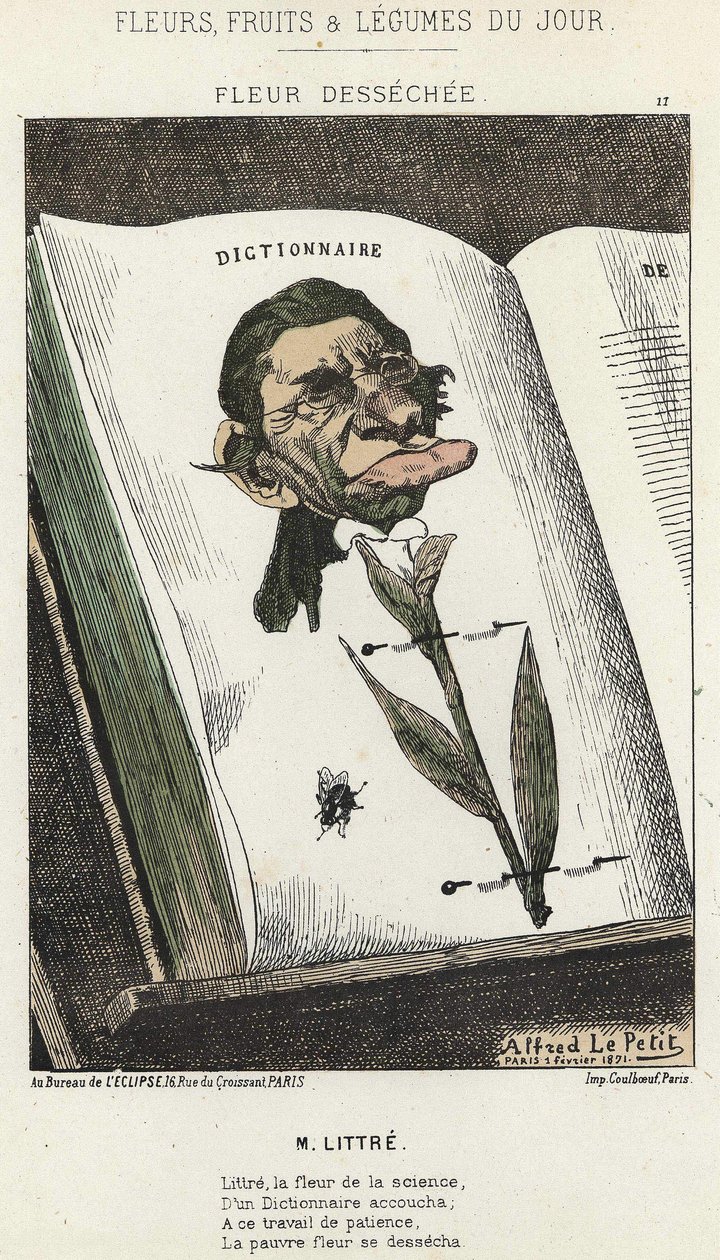 Déséchée çiçeği: Littré ile ilgili karikatür - hasta. 01/02/1871 tarihinden itibaren “Günün Çiçekleri, Meyveleri ve Sebzeleri” by Alfred Le Petit