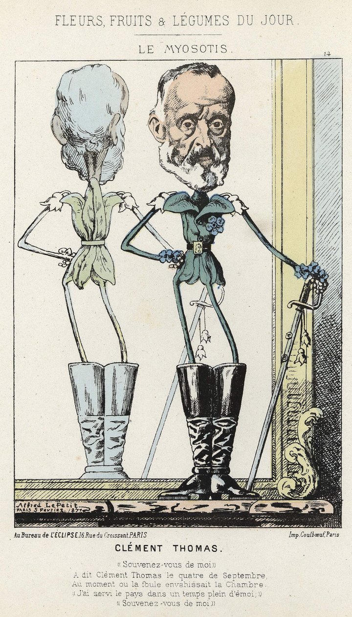 Le Myosotis: Clément Thomas hakkında karikatür - hasta. 03/02/1871 tarihinden itibaren “Günün Çiçekleri, Meyveleri ve Sebzeleri” by Alfred Le Petit