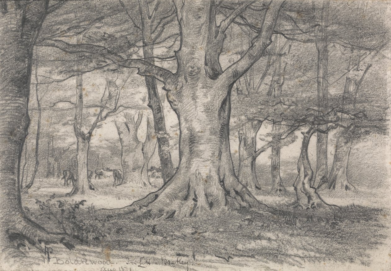Boldrewood yakınlarında bir Orman Manzarası by Alfred Parsons