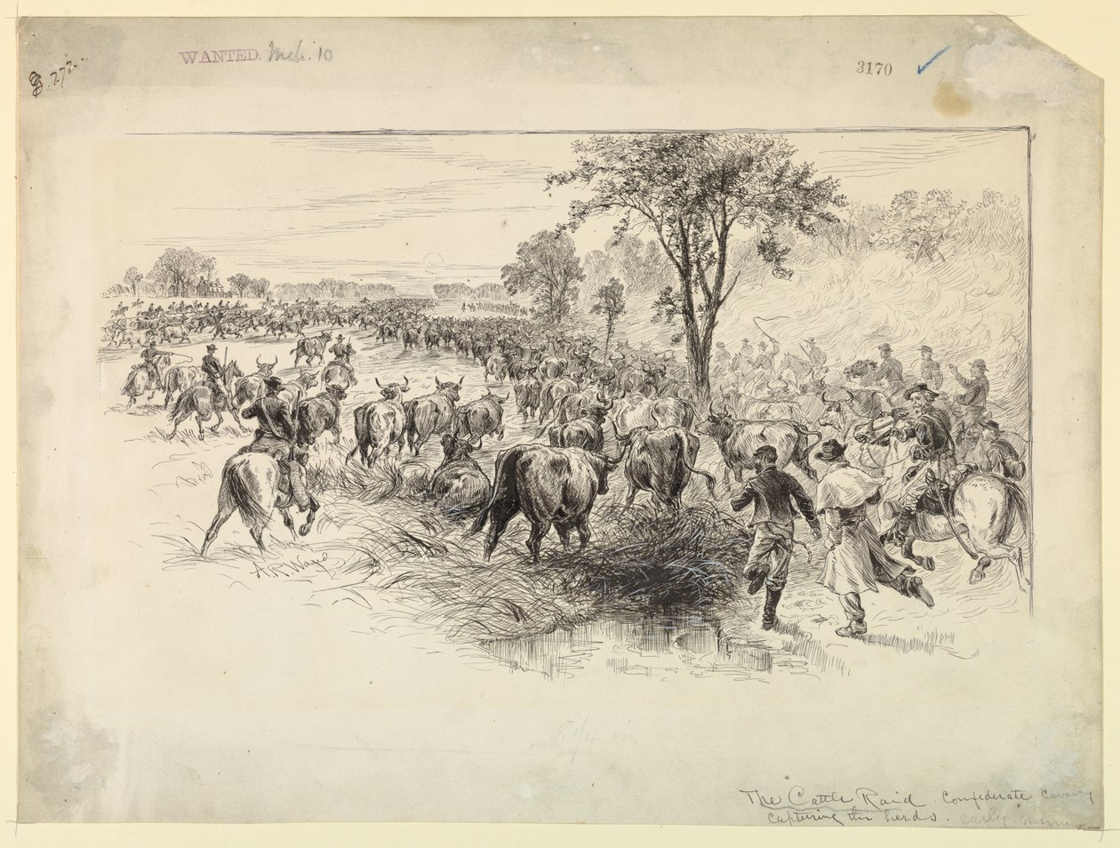 Konfederasyon Süvarileri Tarafından Sığır Baskını by Alfred R. Waud