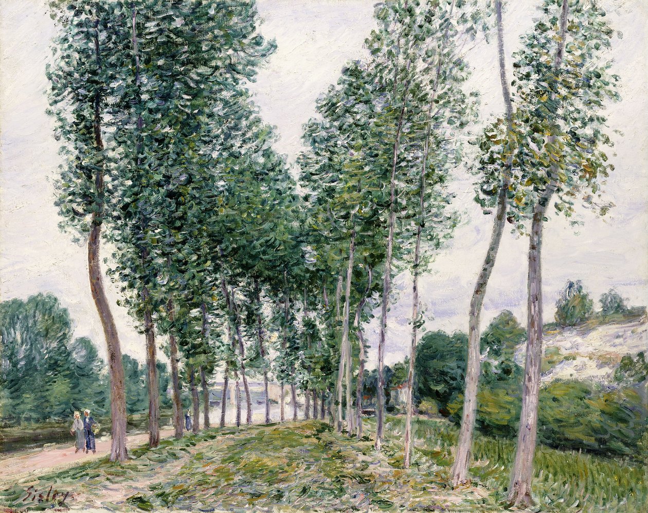 Loing boyunca Kavak Sokağı, 1892 by Alfred Sisley