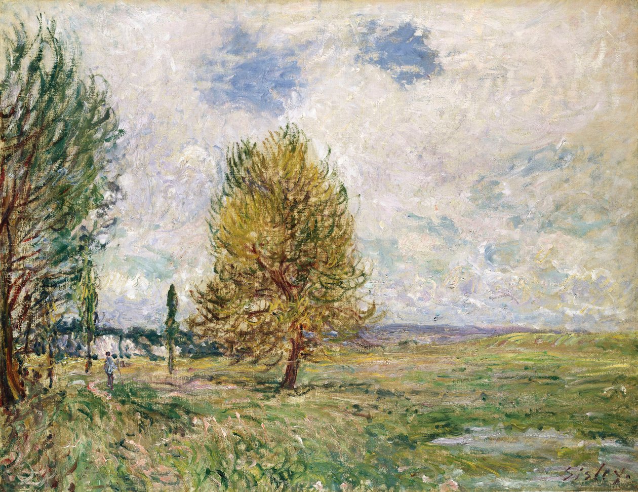 Veneux-Nadon Ovası, 1881 by Alfred Sisley