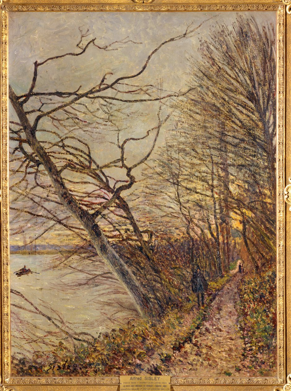 Le Bois des Roches, Veneux-Nadon ... by Alfred Sisley