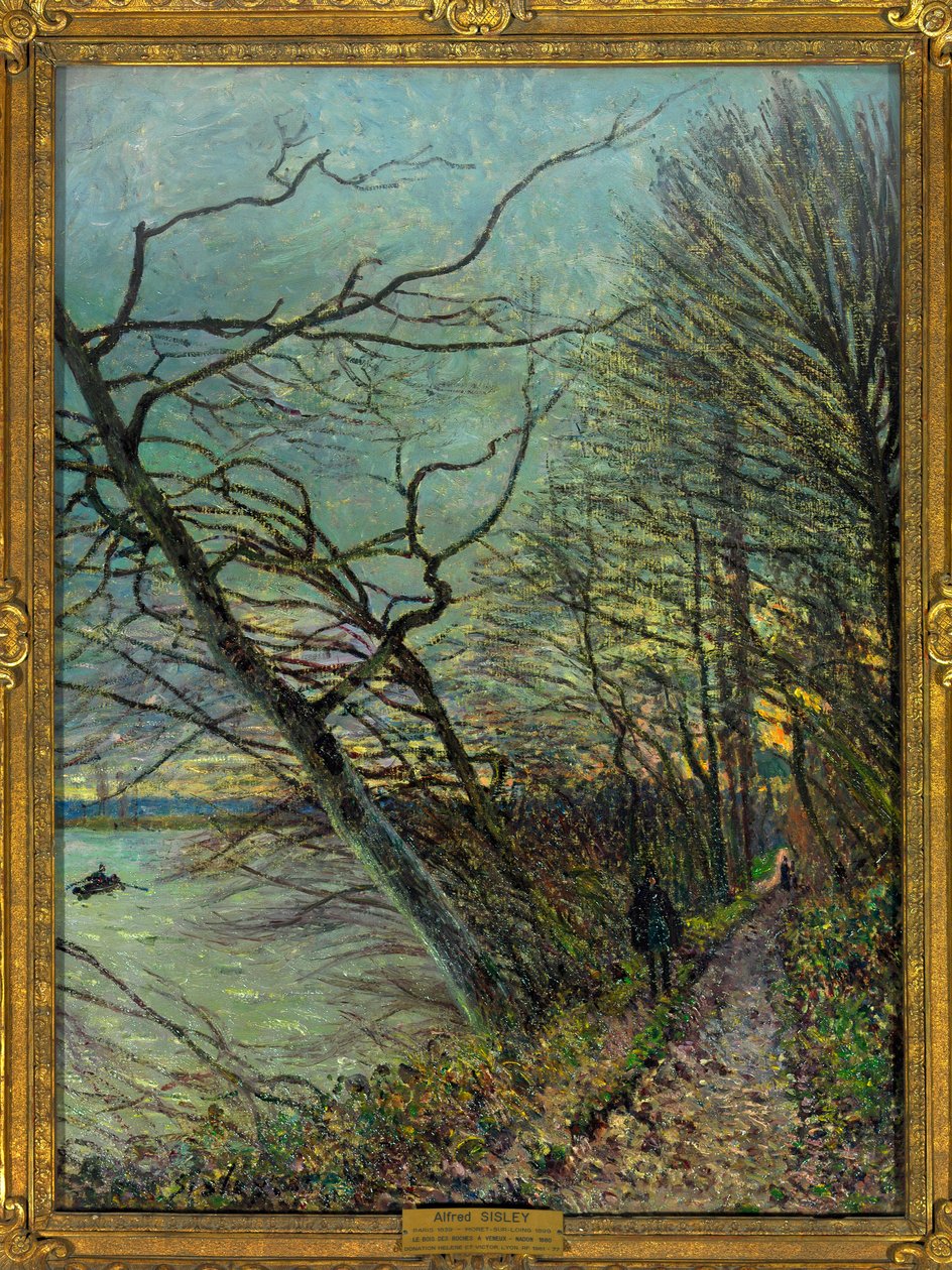 Bois des Roches, Veneux - Nadon (Veneux-les-Sablons), Seine et Marne Alfred Sisley (1839-1899) 1880 Dim 0,73 x 0,55 m Paris Louvre müzesi Zorunlu söz: Bağış Helene ve Victor Lyon by Alfred Sisley
