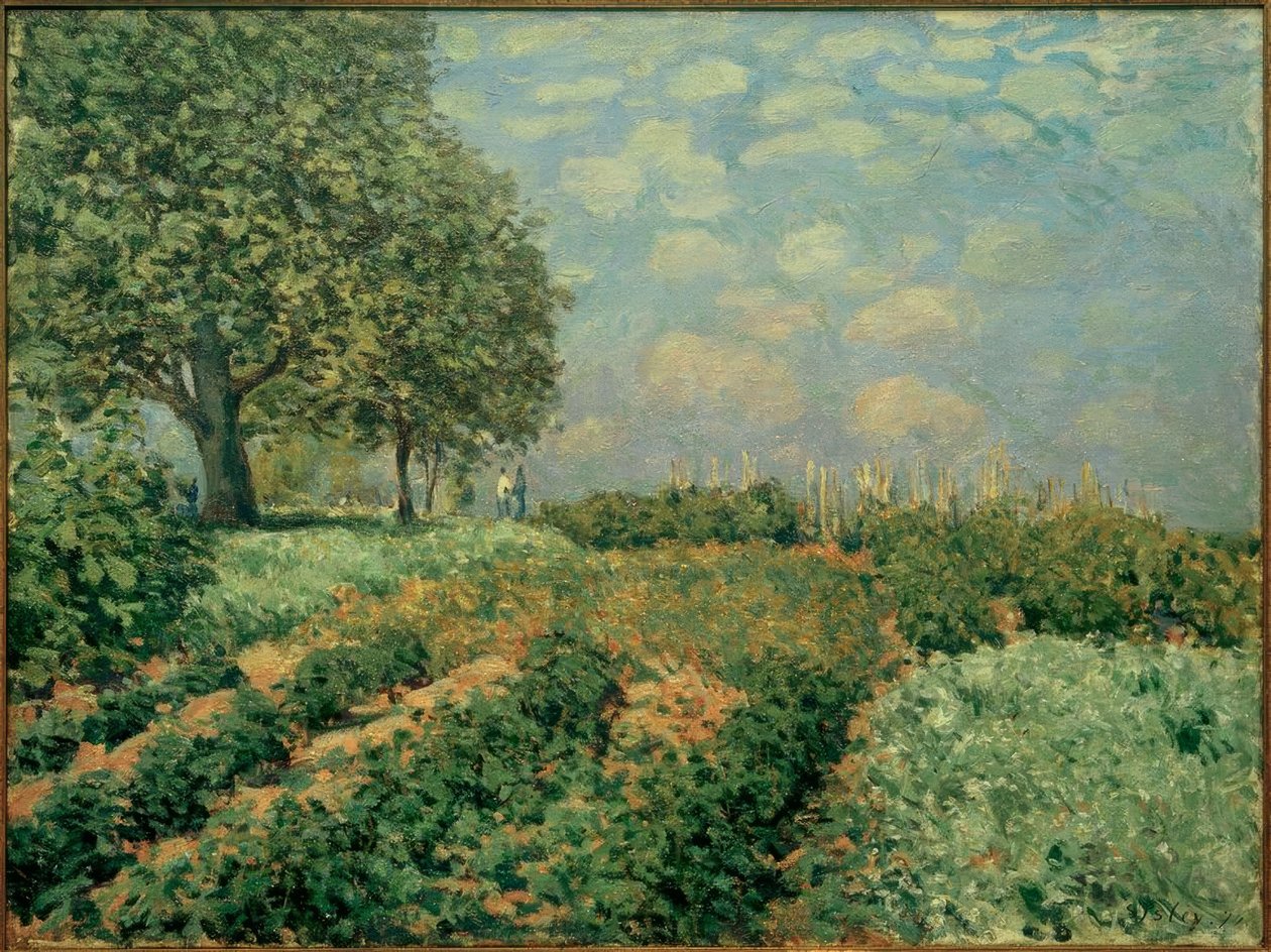 Alanlar by Alfred Sisley