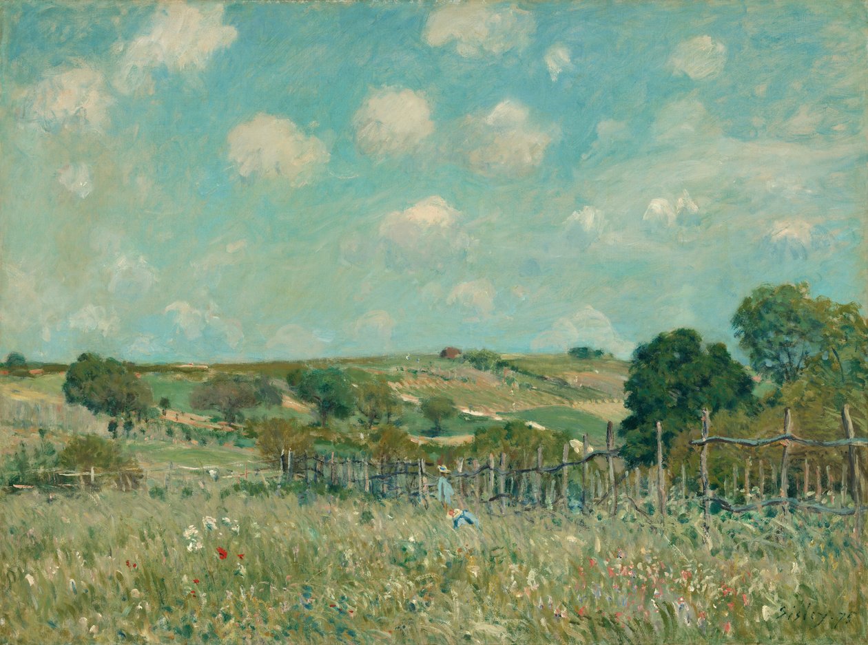 Çayır, 1875. by Alfred Sisley