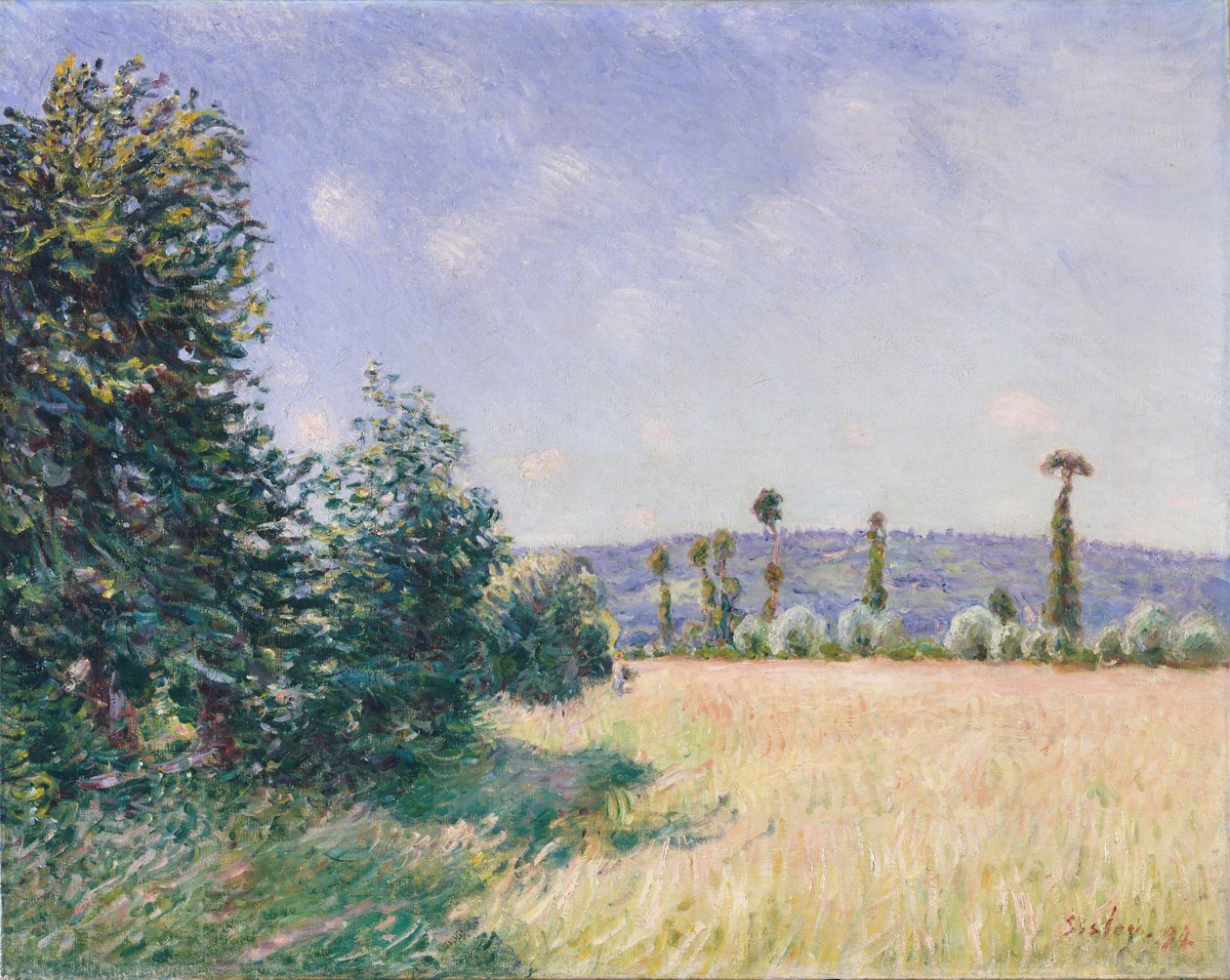 Sabah Güneşinde Sahur Çayırları, 1894 by Alfred Sisley
