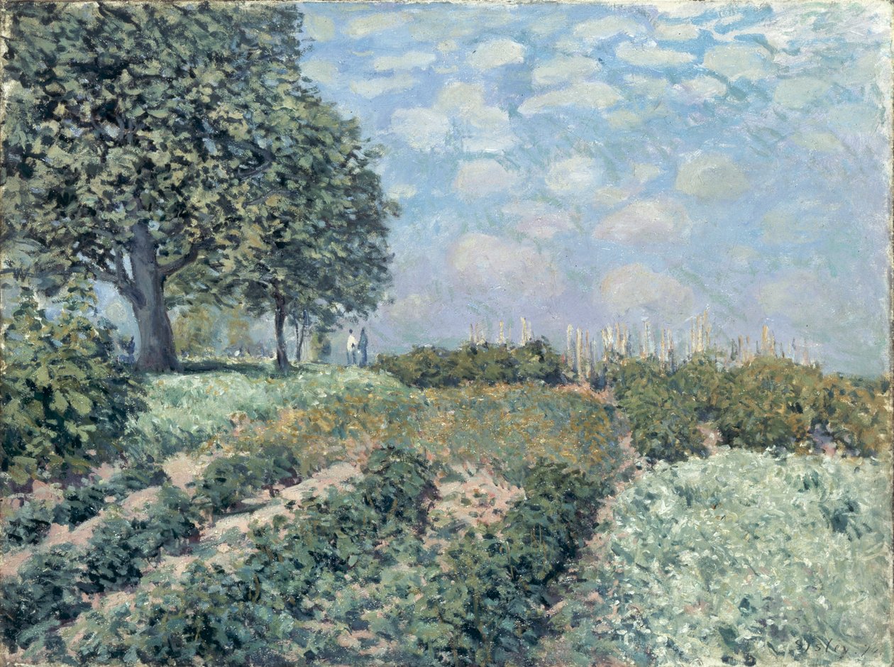 Pazar Bahçeleri by Alfred Sisley