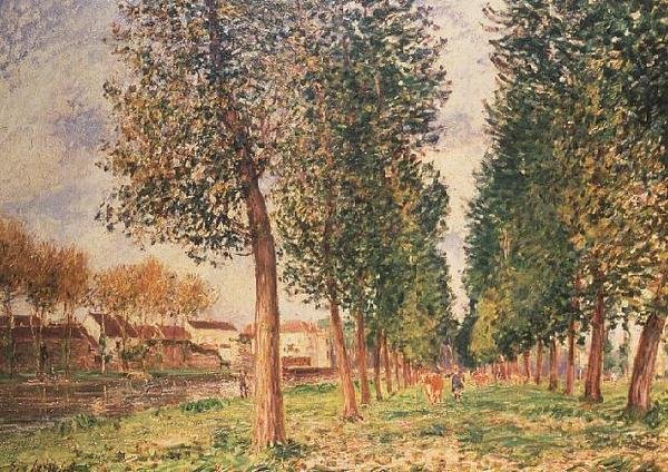 Moret, Bulutlu Gün, Sabah Kavak Caddesi by Alfred Sisley