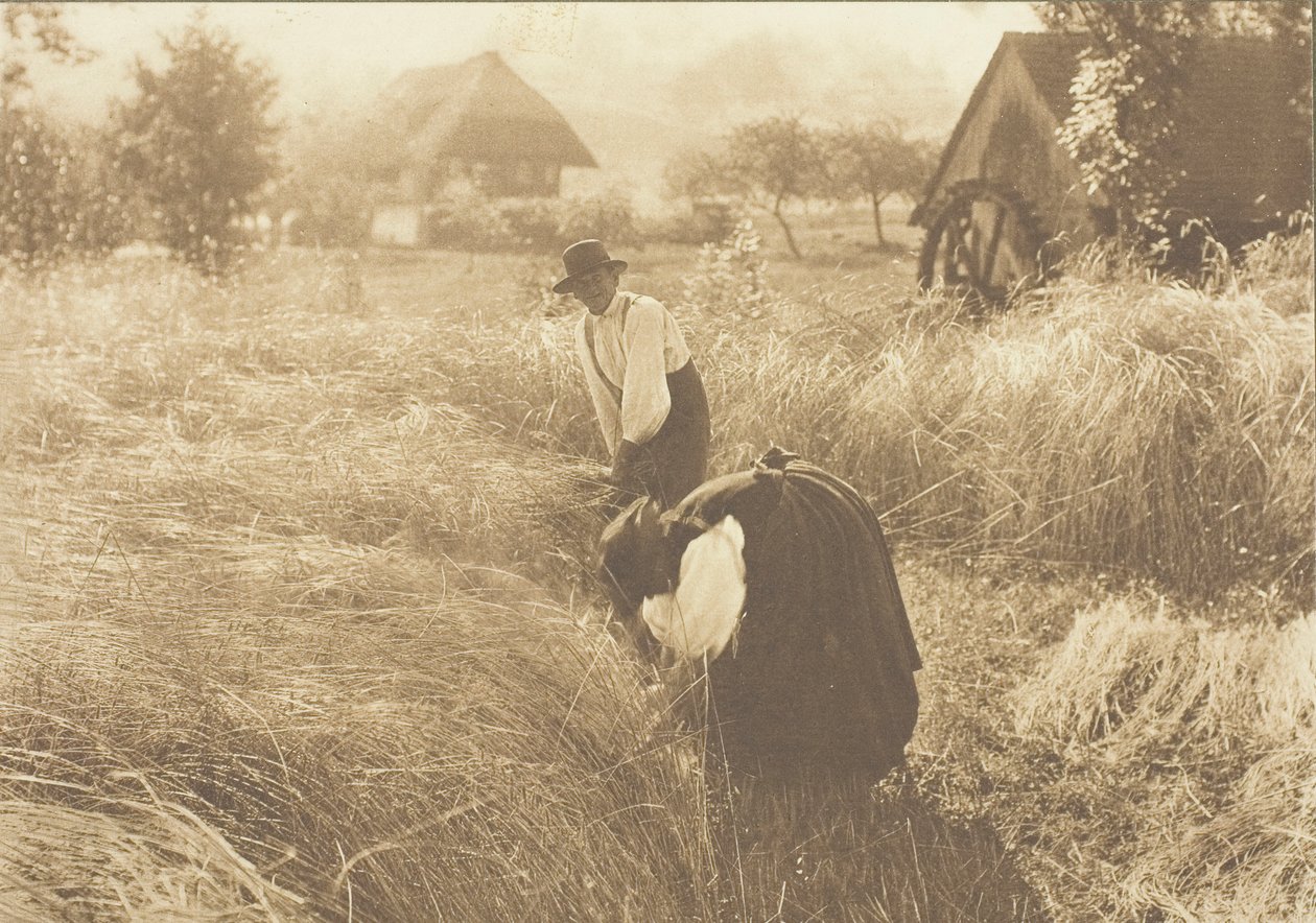 Sabah erken, 1894. by Alfred Stieglitz