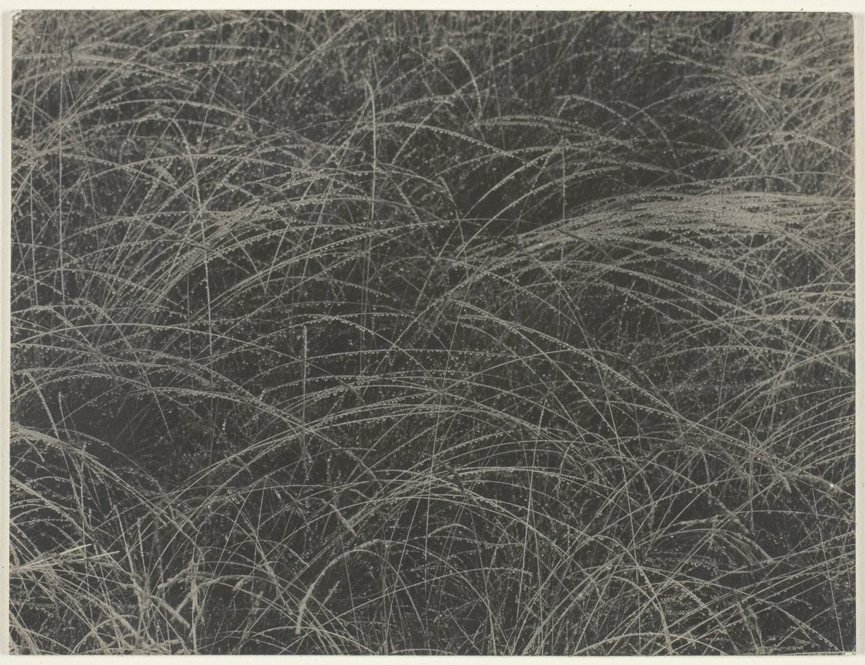 Eşdeğer by Alfred Stieglitz