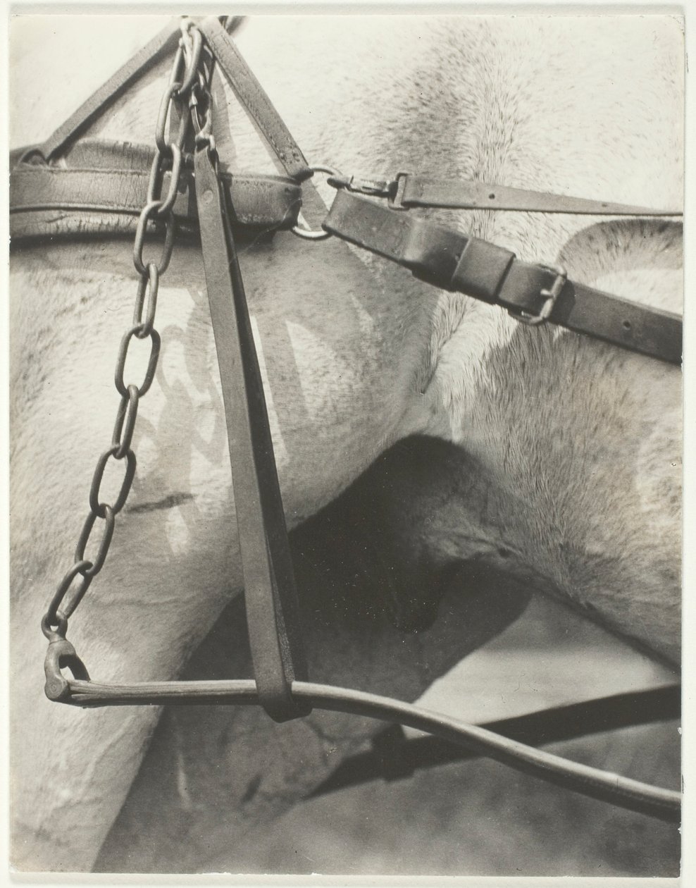 Eşdeğer, Spiritüel Amerika by Alfred Stieglitz