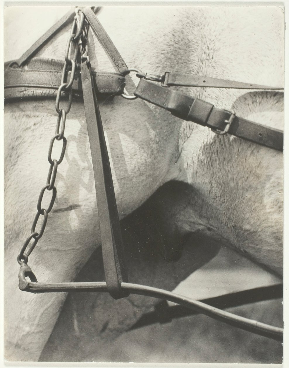 Eşdeğer, Spiritüel Amerika, 1923. by Alfred Stieglitz
