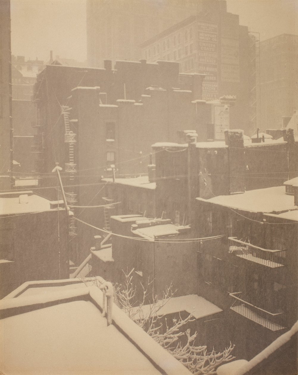  by Alfred Stieglitz
