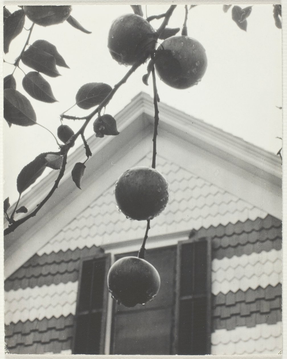 Gable ve Elmalar by Alfred Stieglitz