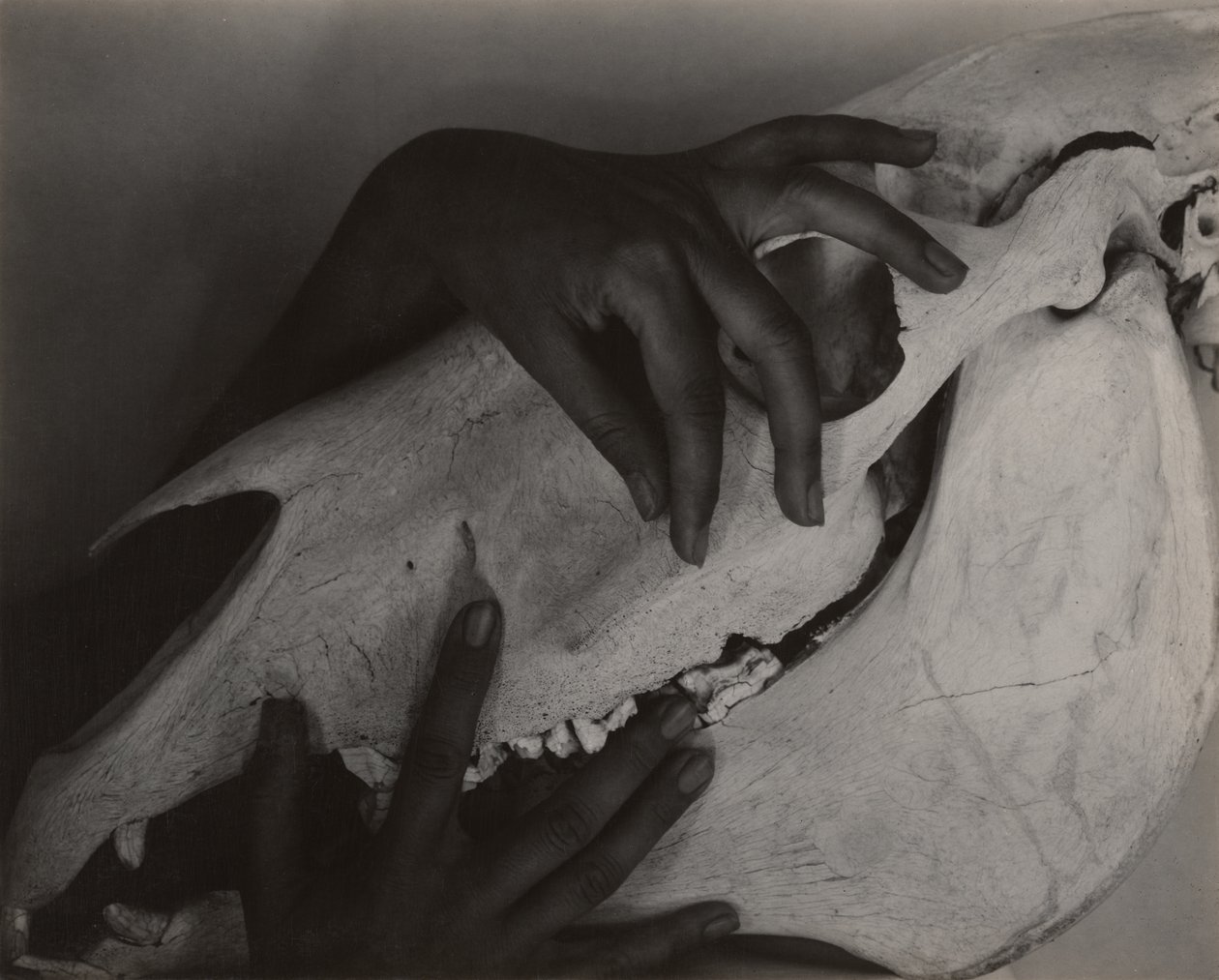  by Alfred Stieglitz